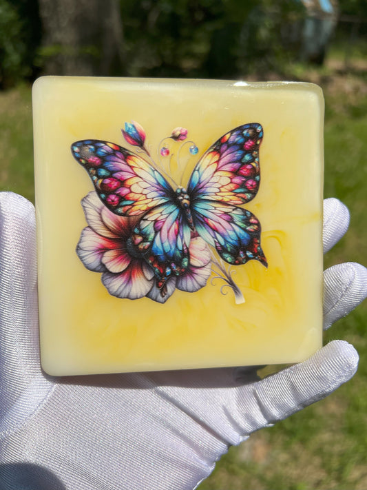 Set of 4 Butterfly Coasters – Elegant Home Decor